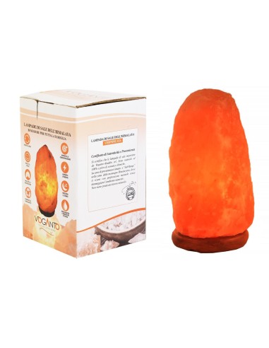 Lampada di Sale KG 3 e 4 in confezione regalo con scatola Sale dell'Himalaya GROTTE TIBET sale rosa Voganto